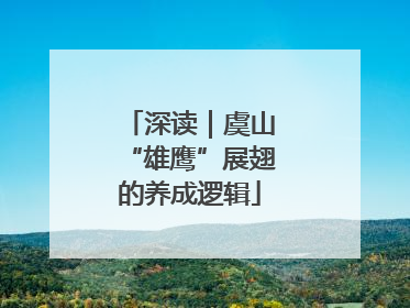 深读｜虞山“雄鹰”展翅的养成逻辑