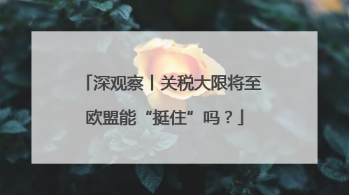 深观察丨关税大限将至欧盟能“挺住”吗？