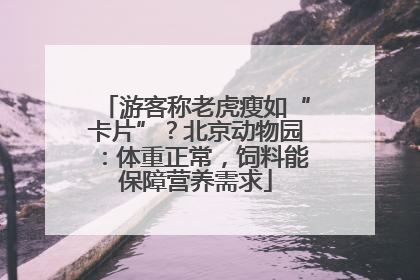 游客称老虎瘦如“卡片”？北京动物园：体重正常，饲料能保障营养需求