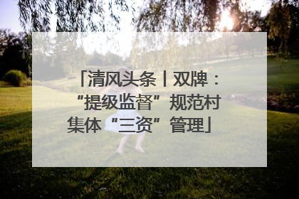 清风头条丨双牌：“提级监督”规范村集体“三资”管理