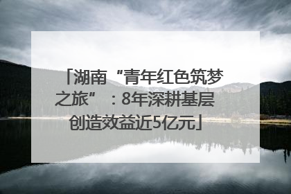 湖南“青年红色筑梦之旅”：8年深耕基层创造效益近5亿元