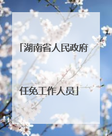湖南省人民政府任免工作人员