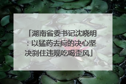 湖南省委书记沈晓明：以猛药去疴的决心坚决刹住违规吃喝歪风