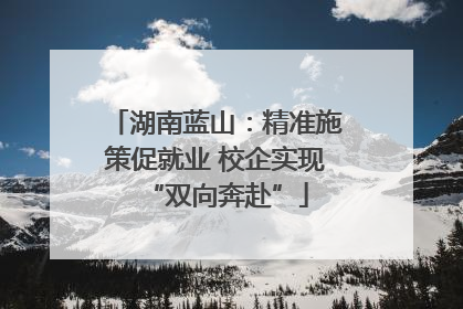 湖南蓝山：精准施策促就业 校企实现“双向奔赴”