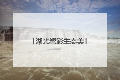湖光鹭影生态美