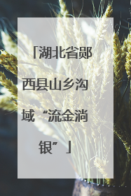 湖北省郧西县山乡沟域“流金淌银”