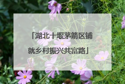 湖北十堰茅箭区铺就乡村振兴共富路