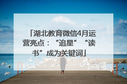湖北教育微信4月运营亮点：“追星”“读书”成为关键词