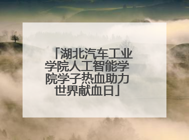 湖北汽车工业学院人工智能学院学子热血助力世界献血日