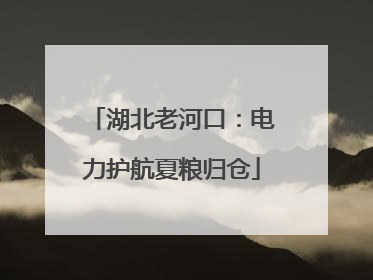 湖北老河口：电力护航夏粮归仓