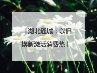 湖北通城：以旧换新激活消费热