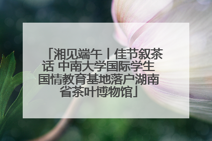 湘见端午丨佳节叙茶话 中南大学国际学生国情教育基地落户湖南省茶叶博物馆