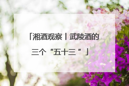 湘酒观察丨武陵酒的三个“五十三 ”