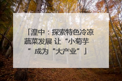 湟中：探索特色冷凉蔬菜发展 让“小菊芋”成为“大产业”