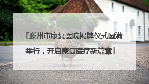 滕州市康复医院揭牌仪式圆满举行，开启康复医疗新篇章