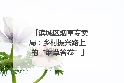 滨城区烟草专卖局：乡村振兴路上的“烟草答卷”