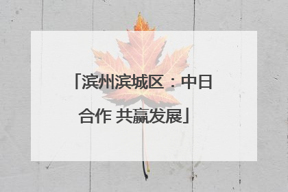 滨州滨城区：中日合作 共赢发展