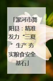 漯河市舞阳县：精准发力“三夏”生产 夯实粮食安全基石
