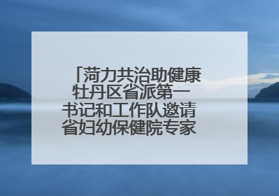 菏力共治助健康 牡丹区省派第一书记和工作队邀请省妇幼保健院专家开展义诊活动