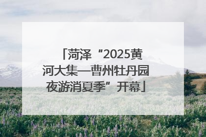 菏泽“2025黄河大集—曹州牡丹园夜游消夏季”开幕
