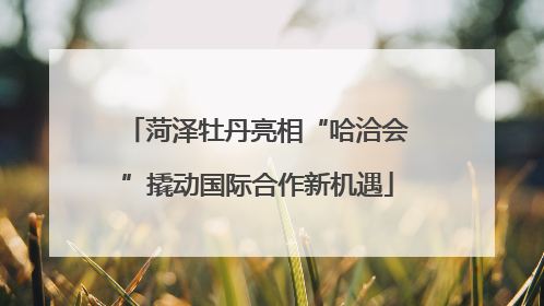 菏泽牡丹亮相“哈洽会”撬动国际合作新机遇