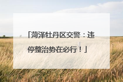 菏泽牡丹区交警：违停整治势在必行！