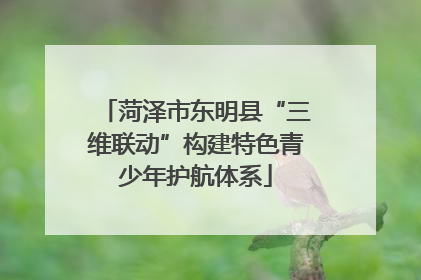 菏泽市东明县“三维联动”构建特色青少年护航体系