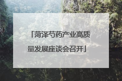 菏泽芍药产业高质量发展座谈会召开