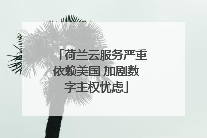 荷兰云服务严重依赖美国 加剧数字主权忧虑