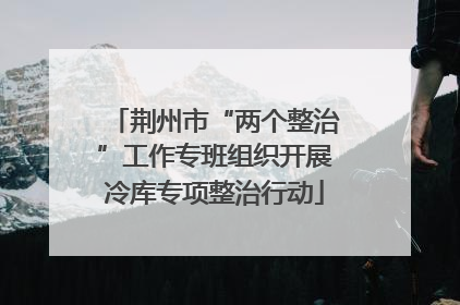 荆州市“两个整治”工作专班组织开展冷库专项整治行动