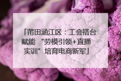 莆田涵江区：工会搭台赋能 “劳模引领+直播实训”培育电商新军