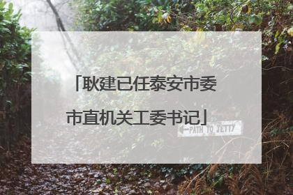 耿建已任泰安市委市直机关工委书记