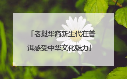 老挝华裔新生代在普洱感受中华文化魅力