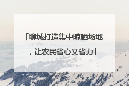 聊城打造集中晾晒场地，让农民省心又省力
