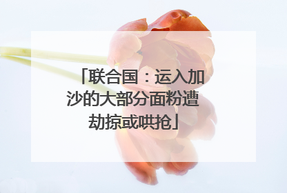 联合国：运入加沙的大部分面粉遭劫掠或哄抢