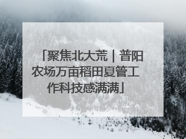 聚焦北大荒｜普阳农场万亩稻田夏管工作科技感满满