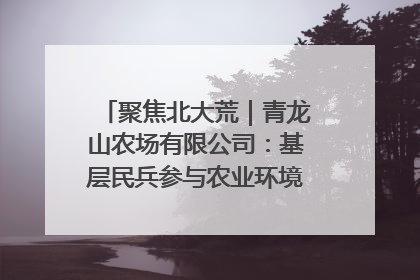 聚焦北大荒｜青龙山农场有限公司：基层民兵参与农业环境综合治理显效