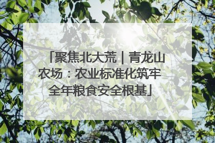 聚焦北大荒｜青龙山农场：农业标准化筑牢全年粮食安全根基