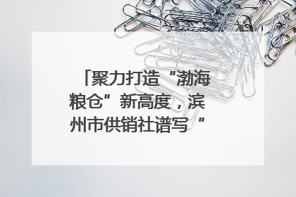 聚力打造“渤海粮仓”新高度，滨州市供销社谱写“三夏”丰收乐章