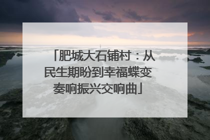 肥城大石铺村：从民生期盼到幸福蝶变奏响振兴交响曲