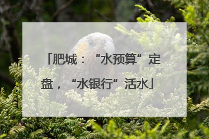 肥城：“水预算”定盘，“水银行”活水