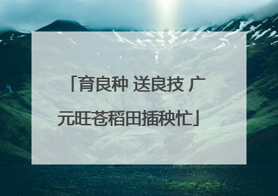 育良种 送良技 广元旺苍稻田插秧忙