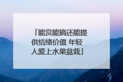 能赏能摘还能提供情绪价值 年轻人爱上水果盆栽