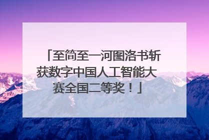 至简至一河图洛书斩获数字中国人工智能大赛全国二等奖！