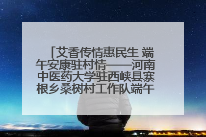 艾香传情惠民生 端午安康驻村情——河南中医药大学驻西峡县寨根乡桑树村工作队端午中医惠民记