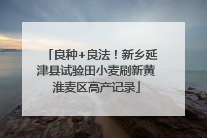 良种+良法！新乡延津县试验田小麦刷新黄淮麦区高产记录