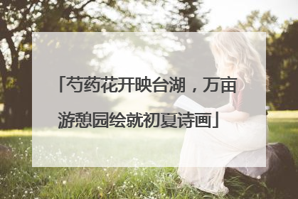 芍药花开映台湖，万亩游憩园绘就初夏诗画