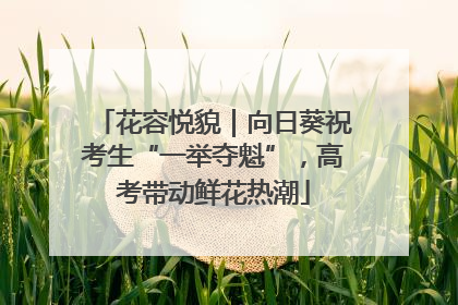 花容悦貌｜向日葵祝考生“一举夺魁”，高考带动鲜花热潮
