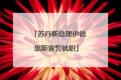 苏丹新总理伊德里斯宣誓就职