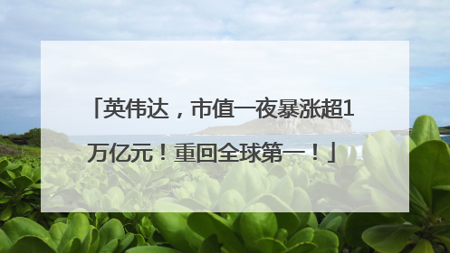 英伟达，市值一夜暴涨超1万亿元！重回全球第一！